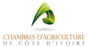 Logo Partenaire 4